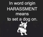 harassment dogwp
